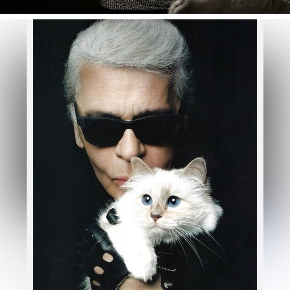 Meet your Posher, Poohcat2 ๐ป๐ป๐ป๐ป - Picture 6 of 6